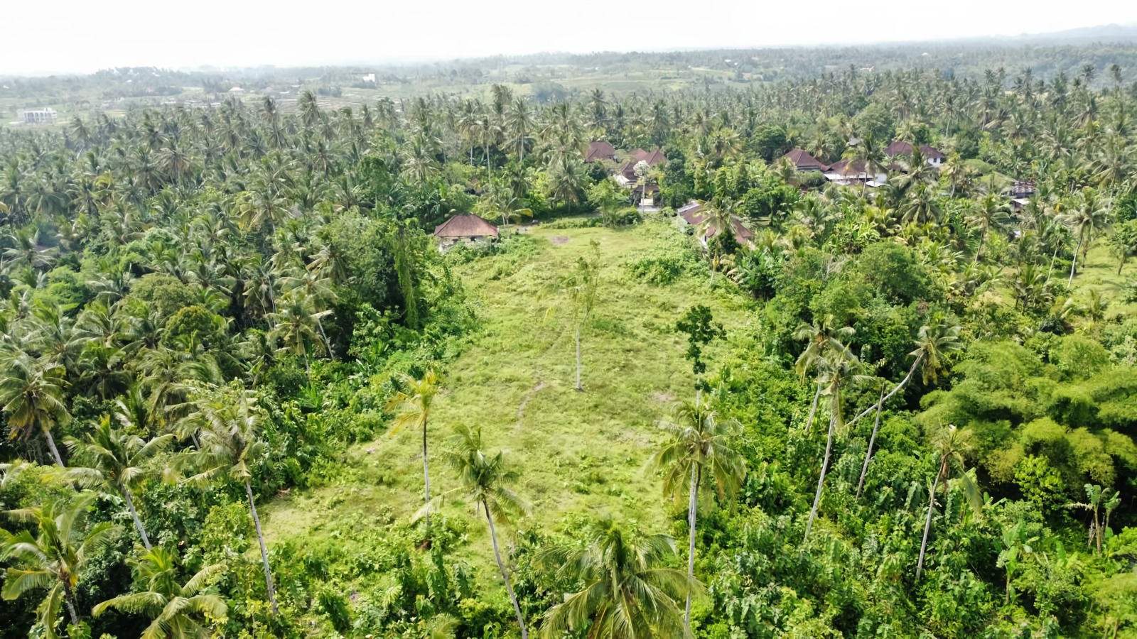 A Quiet Slice of Bali – Buildable Land Surrounded by Rice Fields ...
